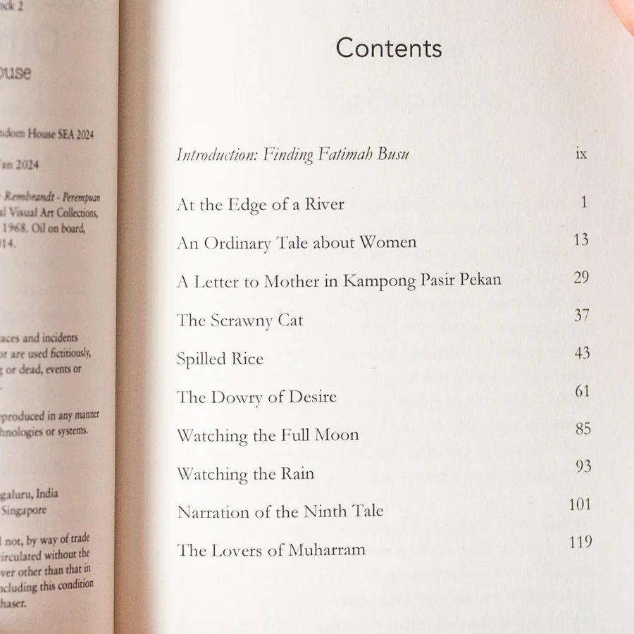 An Ordinary Tale About Women and Other Stories - Image 3