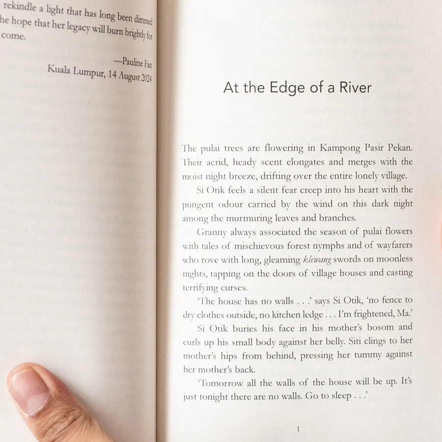 An Ordinary Tale About Women and Other Stories - Image 4