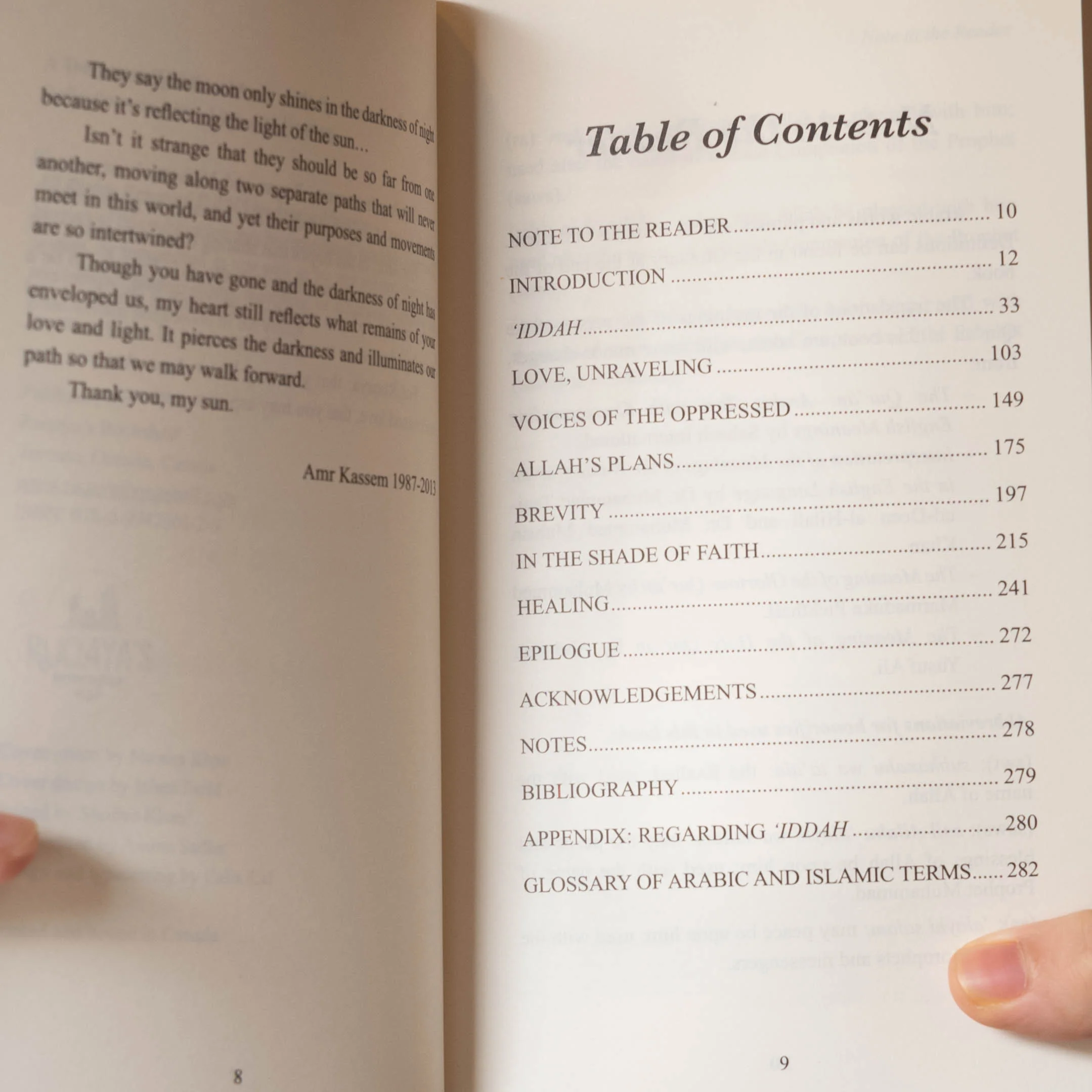 A Temporary Gift: Reflections of Love, Loss and Healing - Image 3