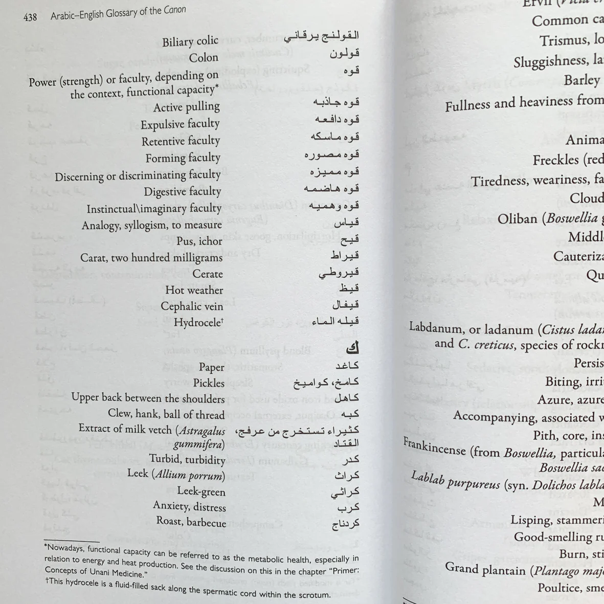 Avicenna's Medicine - Image 6