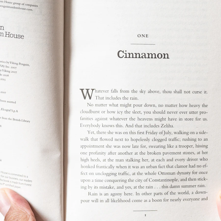 The Bastard of Istanbul - Image 3