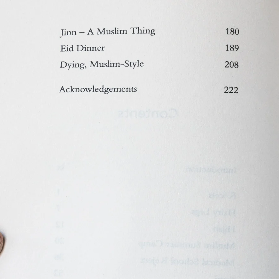 Laughing All the Way to the Mosque - Image 4