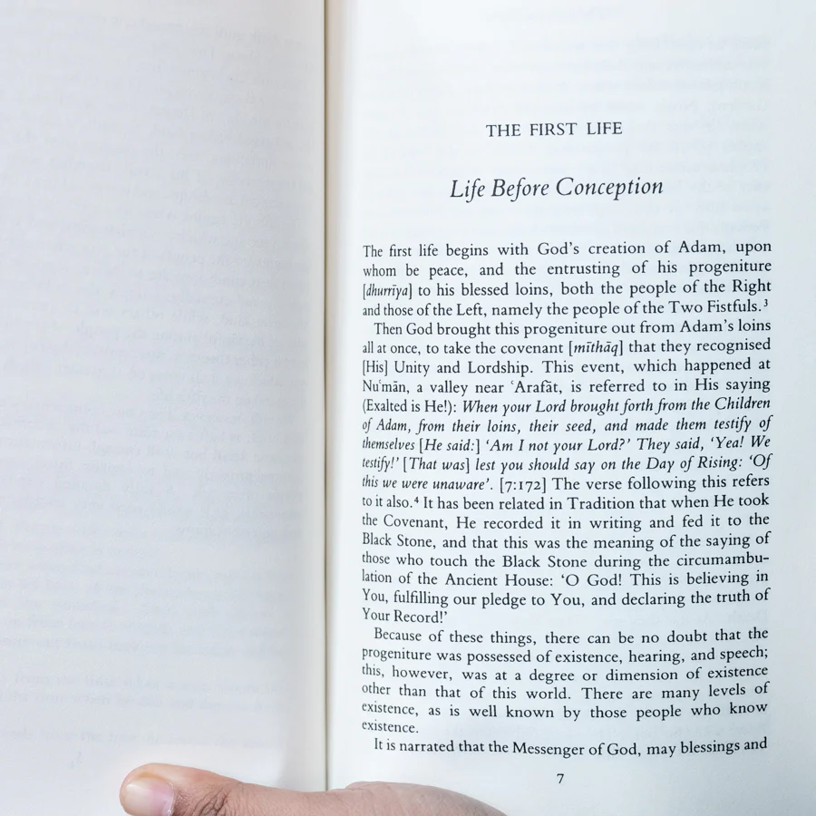 Lives of Man - Image 4