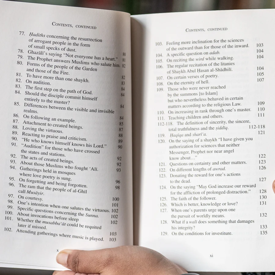 Sublime Treasures: Answers to Sufi Questions - Image 5