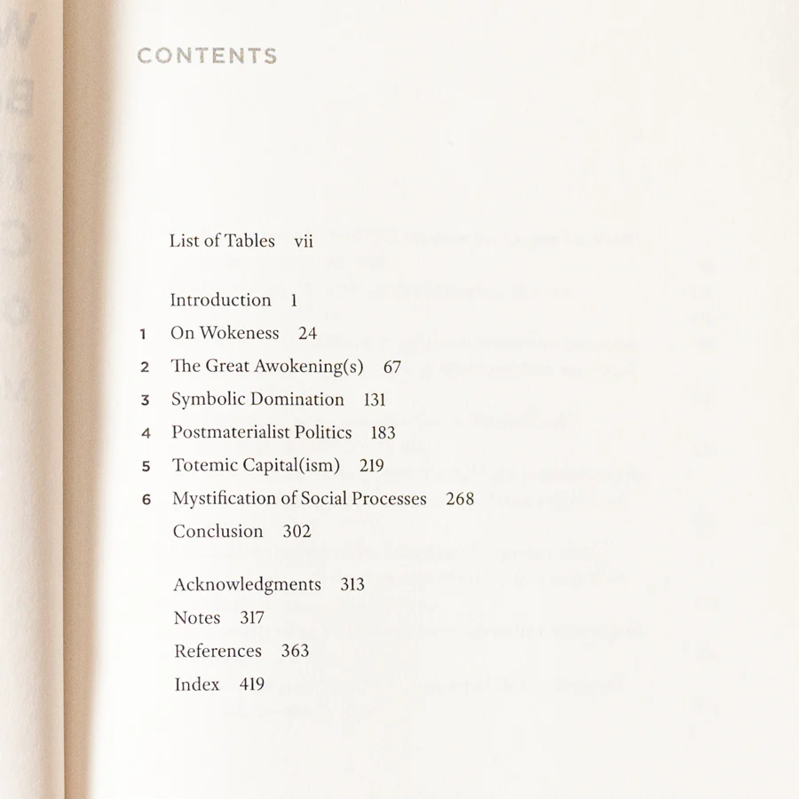 We Have Never Been Woke: The Cultural Contradictions of a New Elite - Image 3
